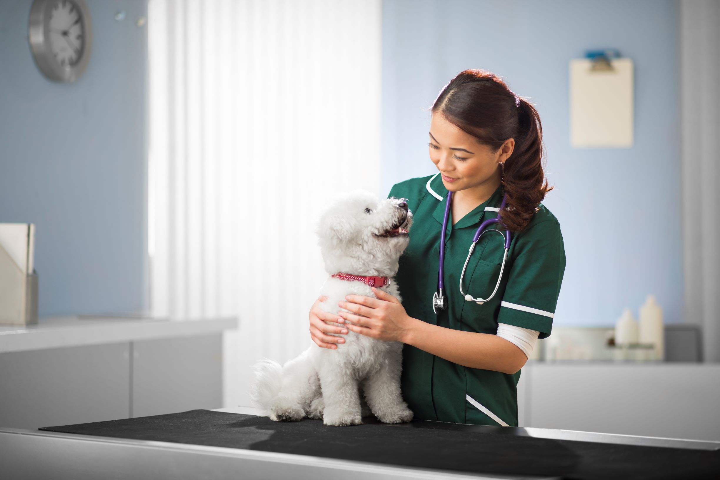 Veterinary Nursing Awareness Month May 2020 British Veterinary