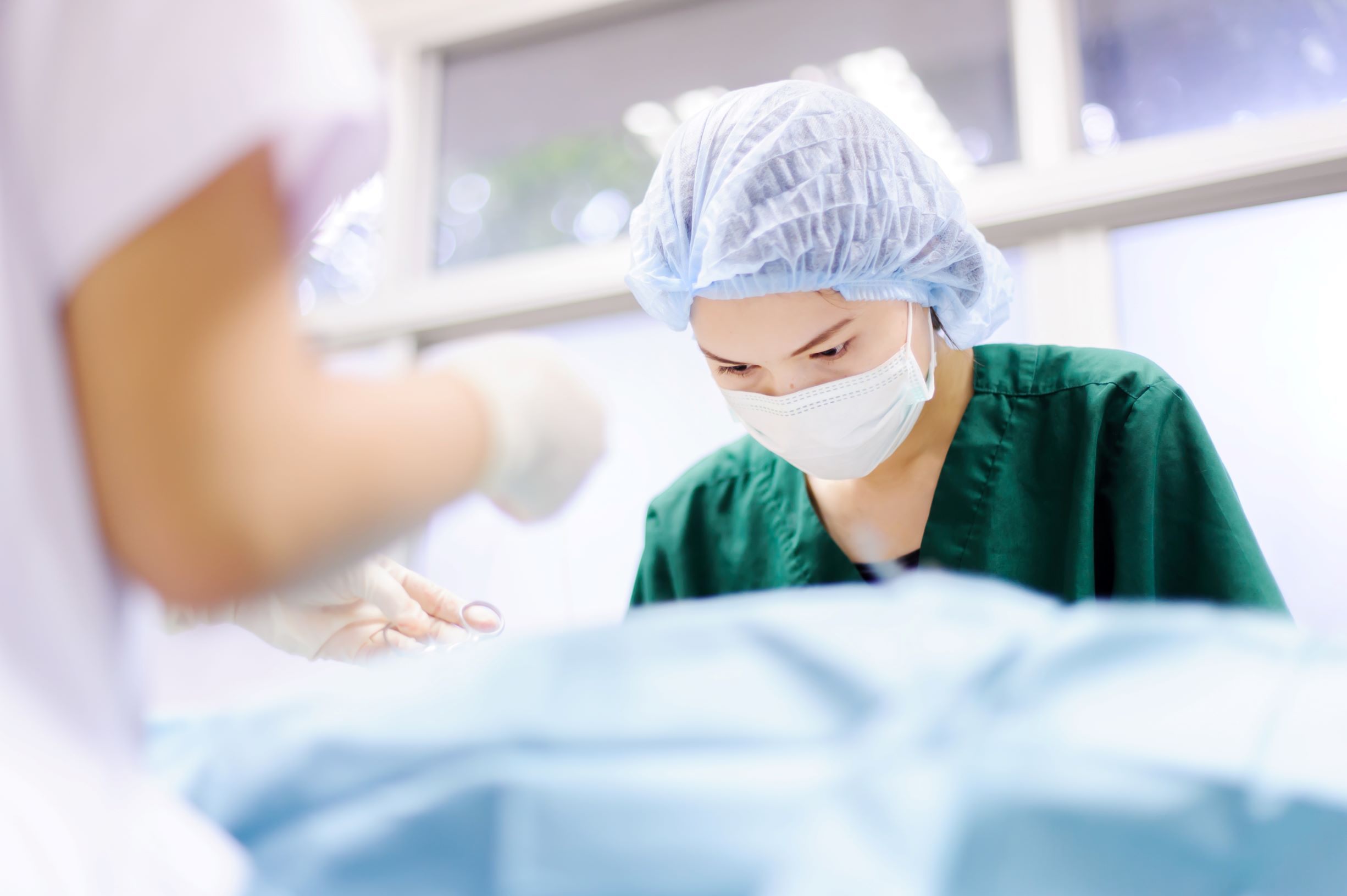 veterinary nurses British Veterinary Nursing Association BVNABritish