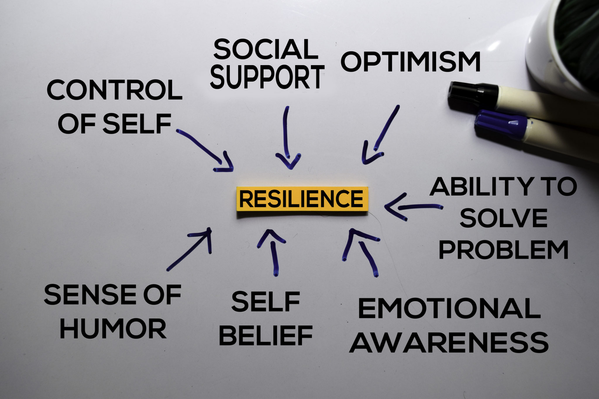 resilience-mindset-and-perception-research-project-bvnabritish