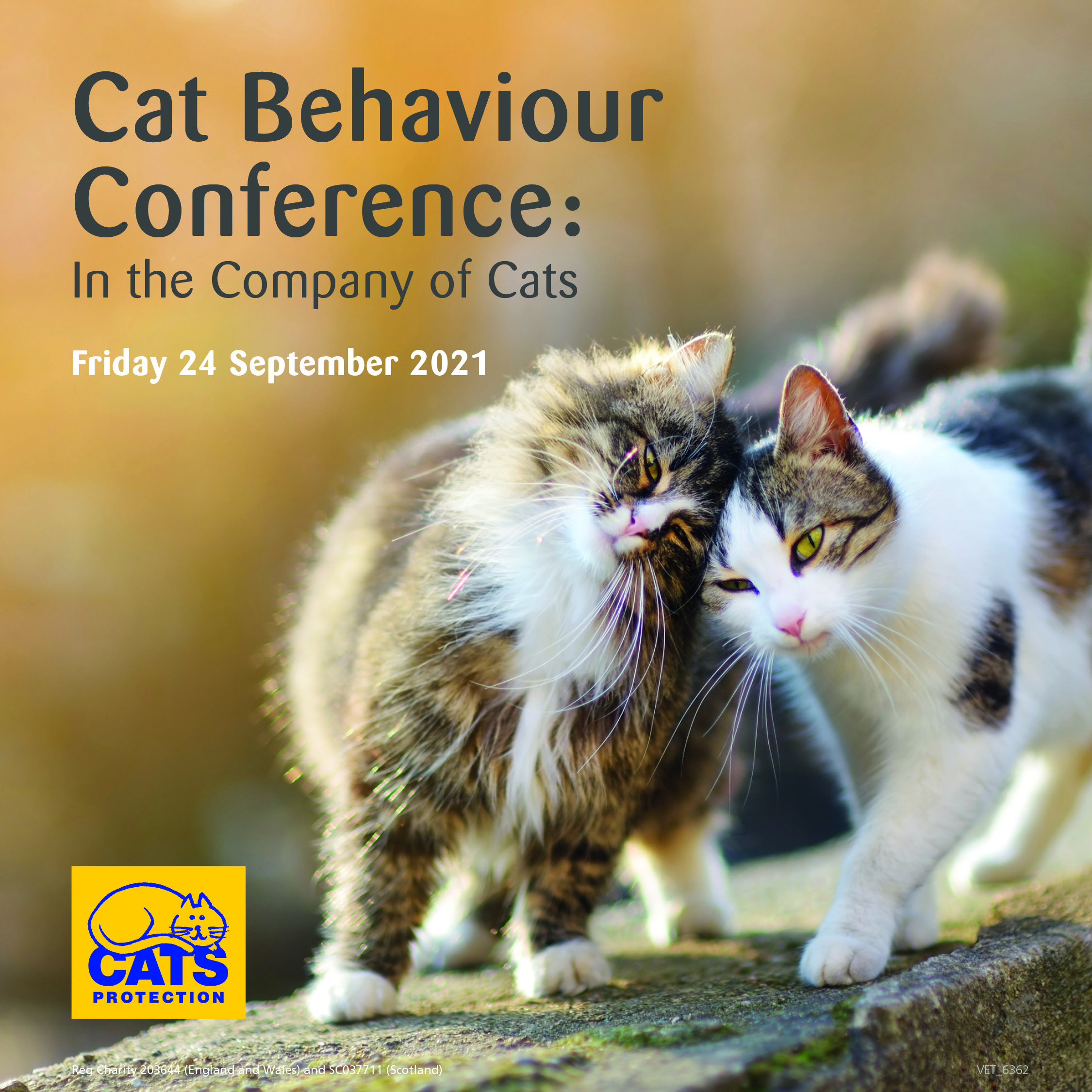 The Cats Protection Cat Behaviour Conference BVNABritish Veterinary