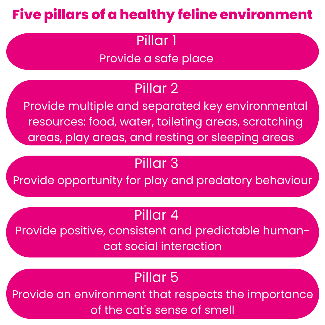 BVNA, Hill's and ISFM Competition British Veterinary Nursing