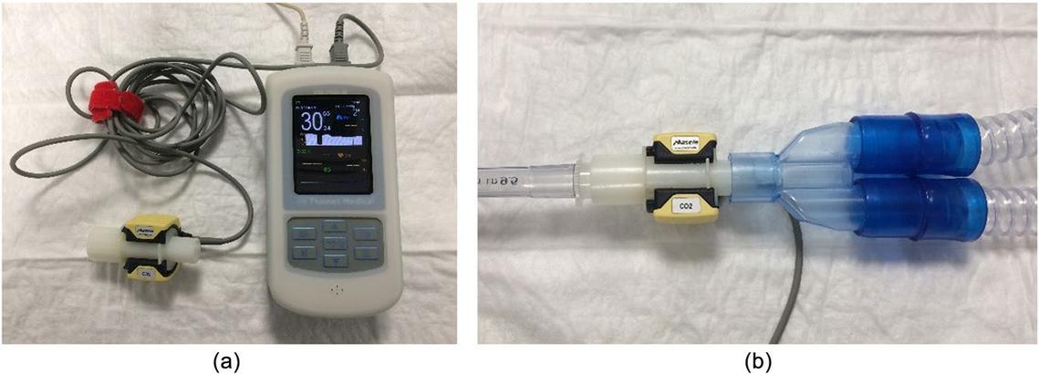 Capnography: a guide for veterinary nurses by Paula Bagshaw-Wright ...