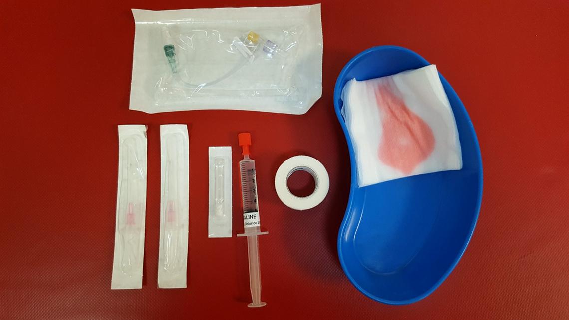 Peripheral intravenous catheter care in hospitalised cats and dogs by