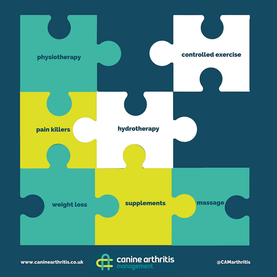 Evidence for the use of supplements in canine arthritis management by