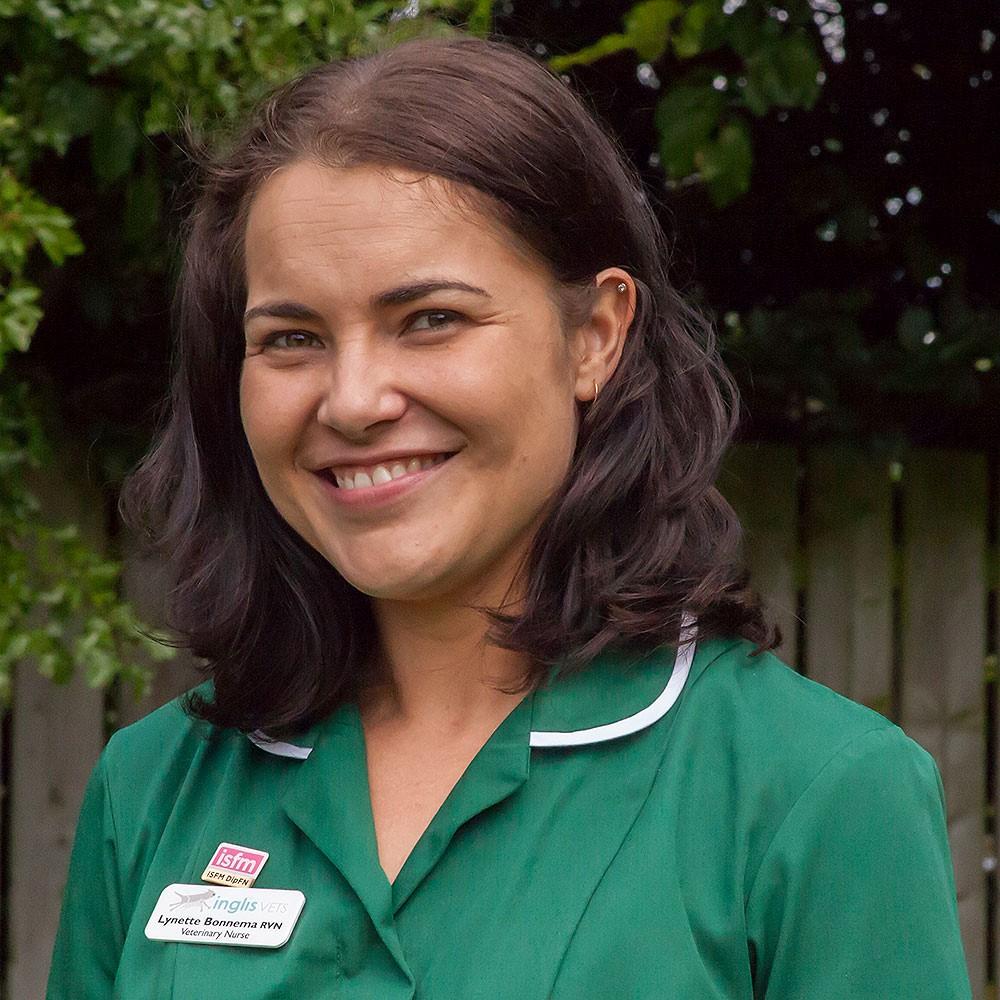 A Registered Veterinary Nurse’s (RVN’s) secret struggle … A short