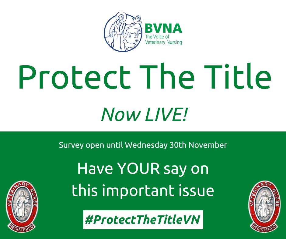 bvna-launch-protect-the-title-survey-to-the-veterinary-profession-and