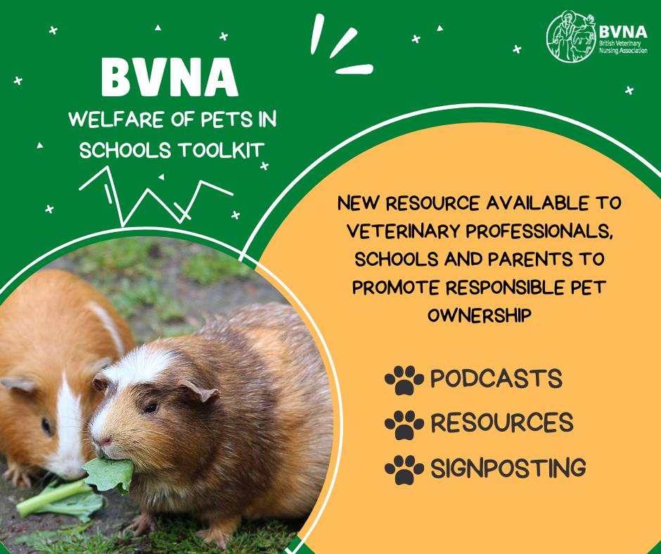 BVNA Welfare of Pets in Schools Toolkit Live discussion panel
