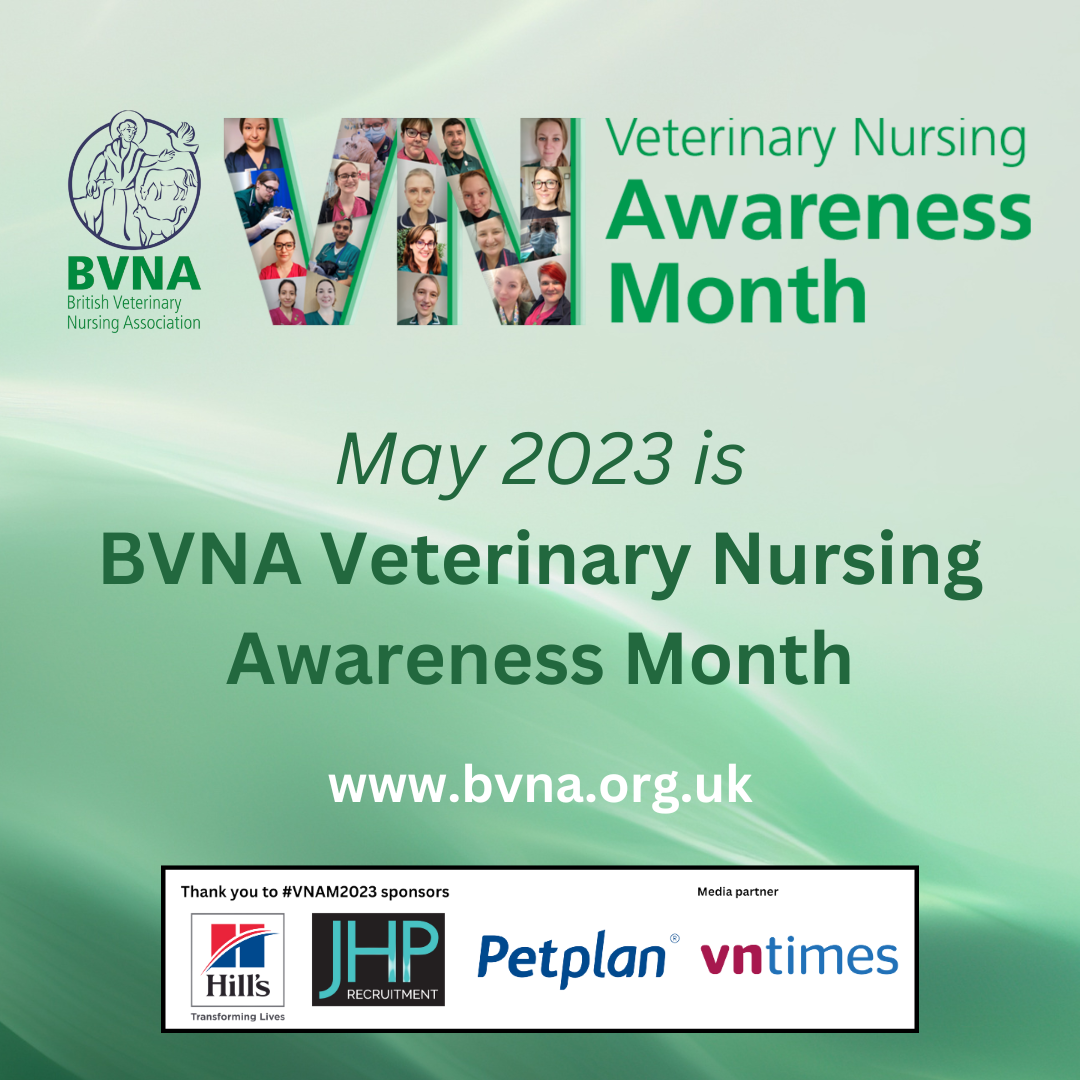 BVNA Launches Veterinary Nursing Awareness Month 2023 British   Instagram VNAM 2023 1 