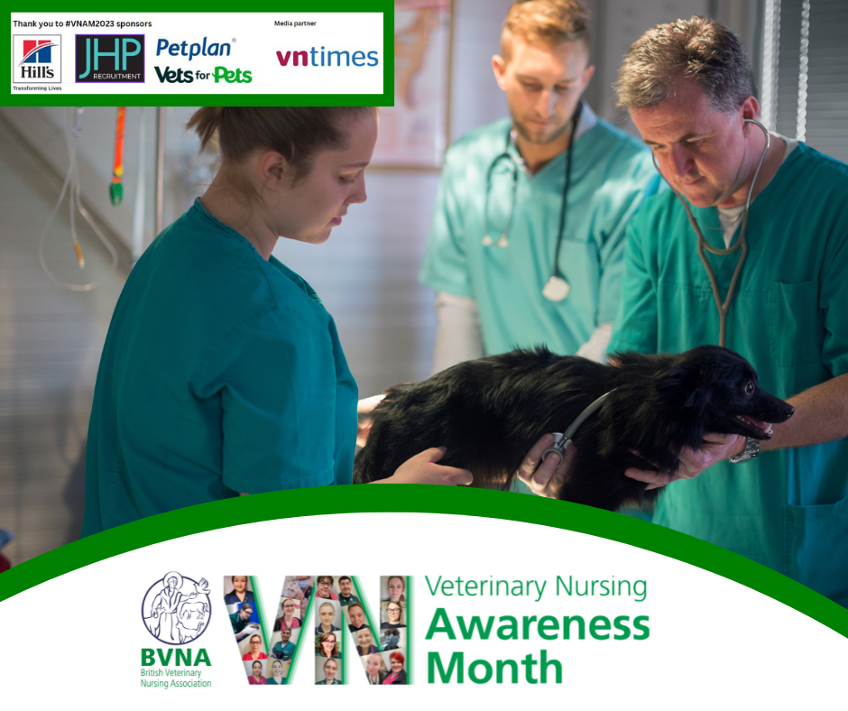 VNAM2023 Raising client and public awareness British Veterinary