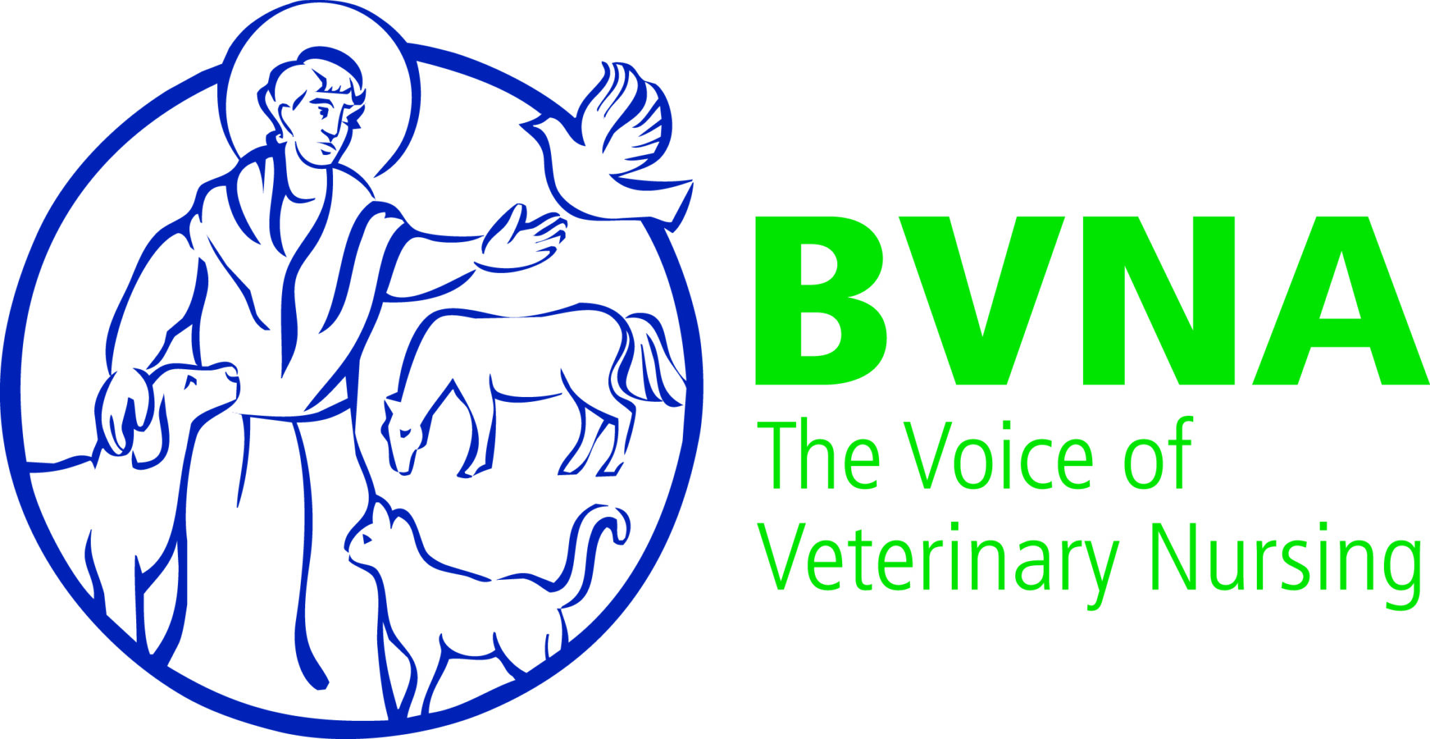 BVNA 'Protect the Title' campaign British Veterinary Nursing