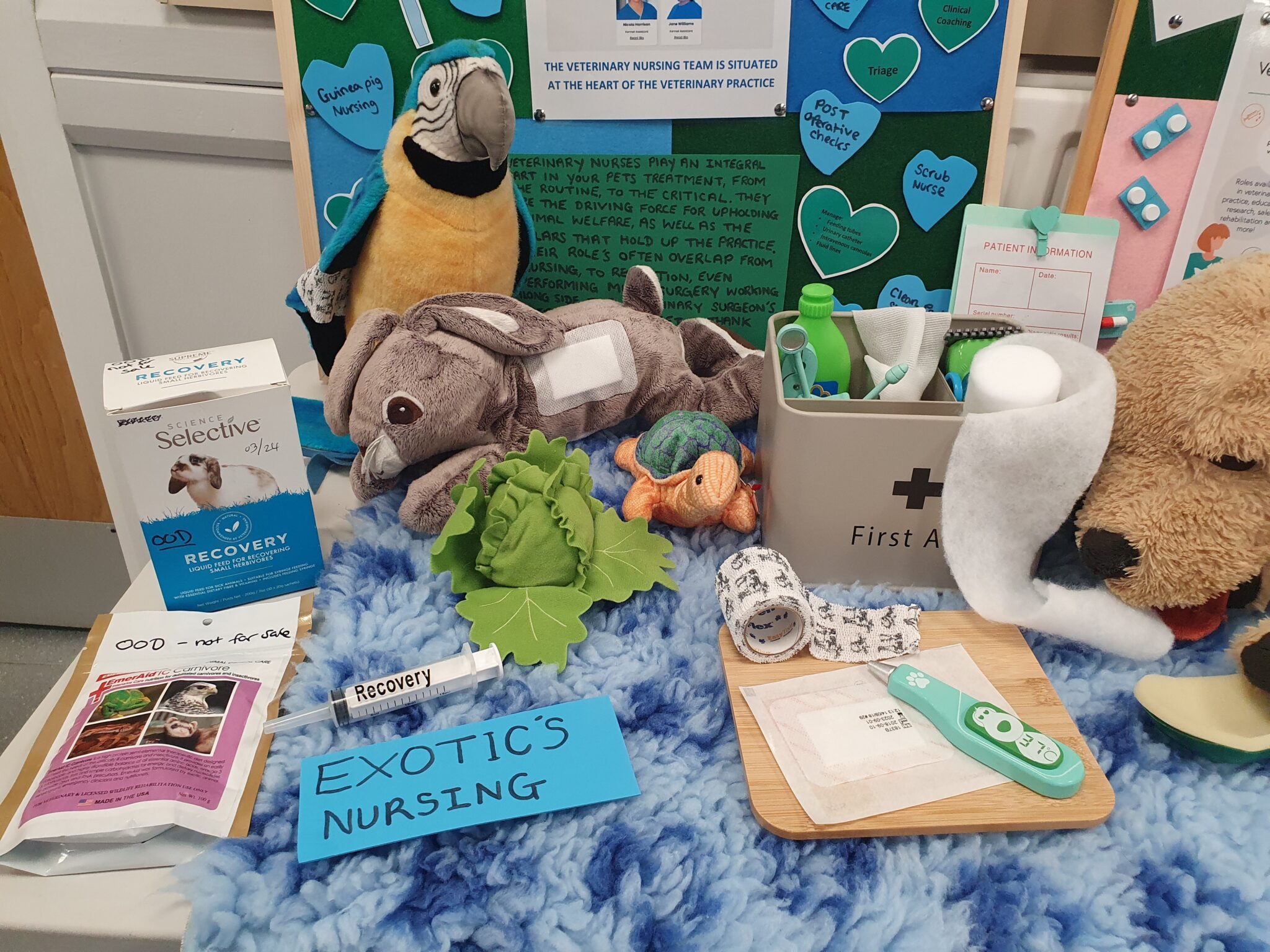 Veterinary Nursing Awareness Month 2024 - Competition Entries - British ...