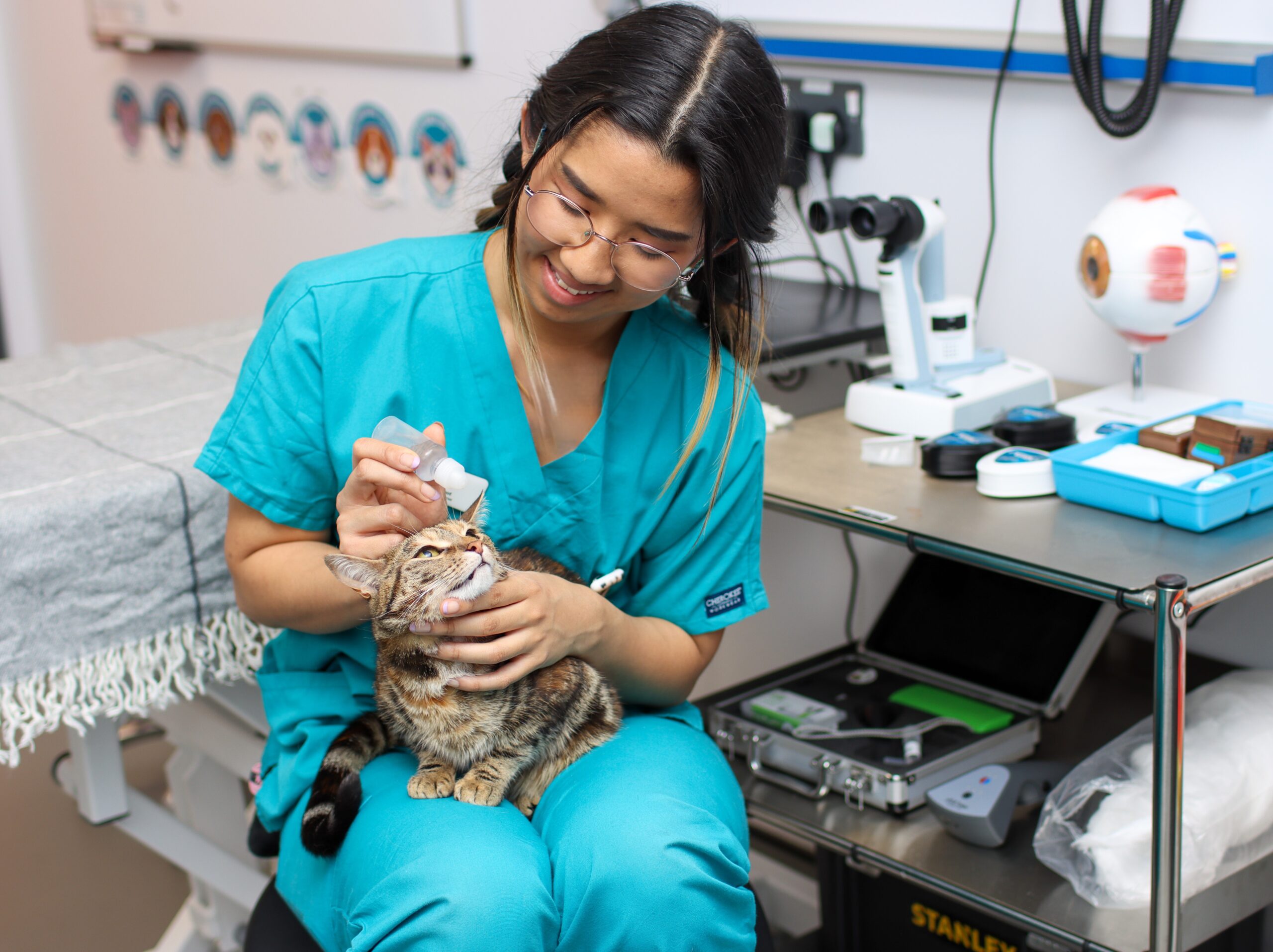 BVNA welcomes government measures to protect the ‘nurse’ title ...